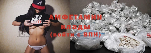 прущие грибы Хадыженск