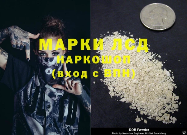 прущие грибы Хадыженск