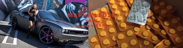 прущие грибы Хадыженск