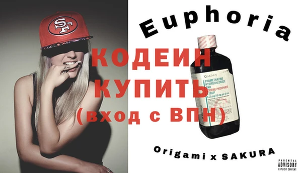 прущие грибы Хадыженск