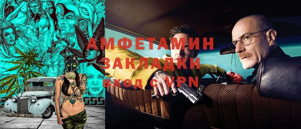 прущие грибы Хадыженск