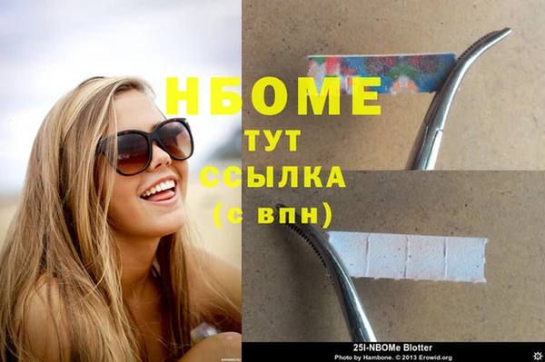 прущие грибы Хадыженск