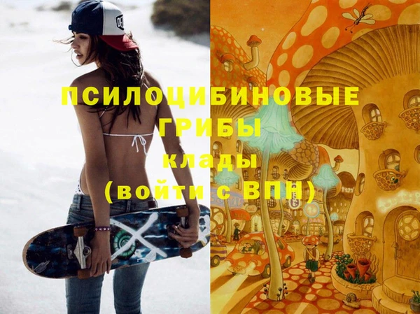 прущие грибы Хадыженск