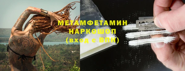 прущие грибы Хадыженск