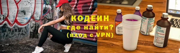 прущие грибы Хадыженск