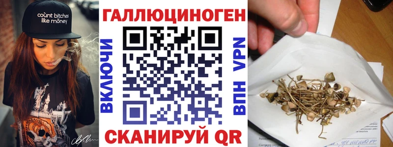 omg онион  Челябинск  Псилоцибиновые грибы Magic Shrooms 