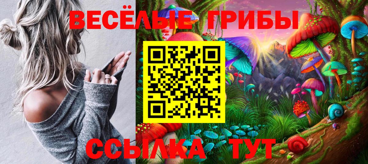 Галлюциногенные грибы прущие грибы  Вход с VPN  Псилоцибиновые грибы мицелий  Челябинск 